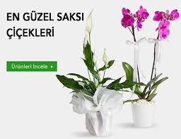 Karşıyaka salon çiçekleri