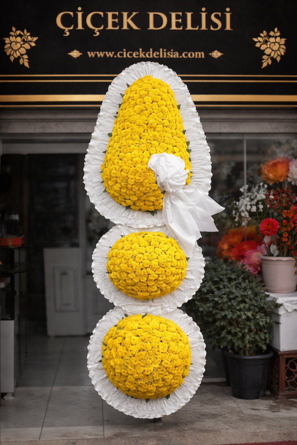 3 G�bekli �elenk